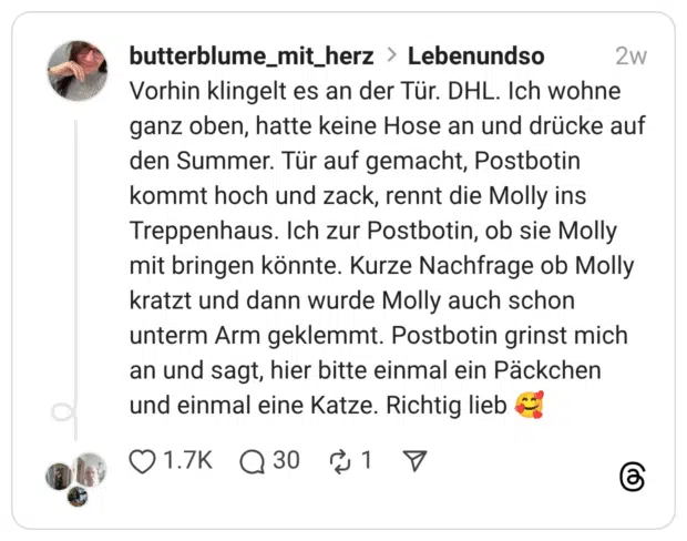 Vorhin klingelt es an der Tür. DHL. Ich wohne ganz oben, hatte keine Hose an und drücke auf den Summer. Tür auf gemacht, Postbotin kommt hoch und zack, rennt die Molly ins Treppenhaus. Ich zur Postbotin, ob sie Molly mit bringen könnte. Kurze Nachfrage ob Molly kratzt und dann wurde Molly auch schon unterm Arm geklemmt. Postbotin grinst mich an und sagt, hier bitte einmal ein Päckchen und einmal eine Katze. Richtig lieb 🥰