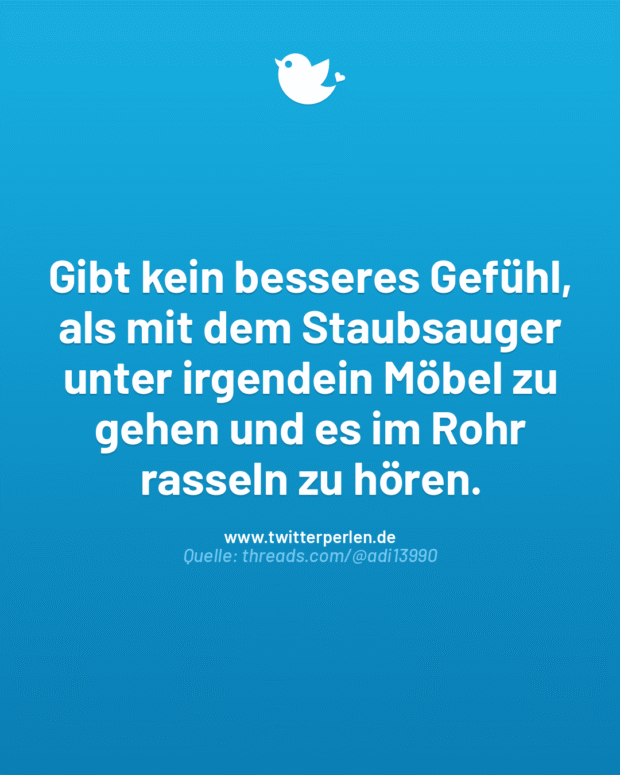 Gibt kein besseres Gefühl, als mit dem Staubsauger unter irgendein Möbel zu gehen und es im Rohr rasseln zu hören.