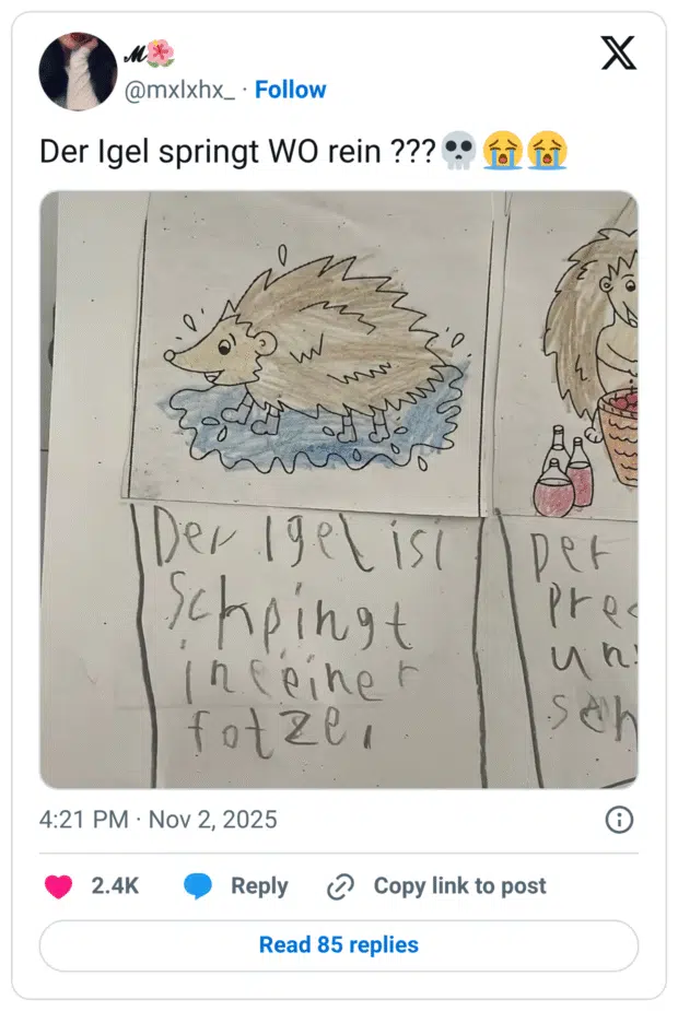 Der Igel springt WO rein ???