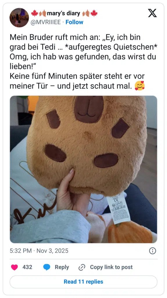 Mein Bruder ruft mich an: ,,Ey, ich bin grad bei Tedi … *aufgeregtes Quietschen* Omg, ich hab was gefunden, das wirst du lieben!“ Keine fünf Minuten später steht er vor meiner Tür – und jetzt schaut mal. 🥰