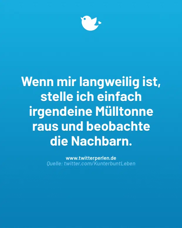 Wenn mir langweilig ist, stelle ich einfach irgendeine Mülltonne
raus und beobachte
die Nachbarn.