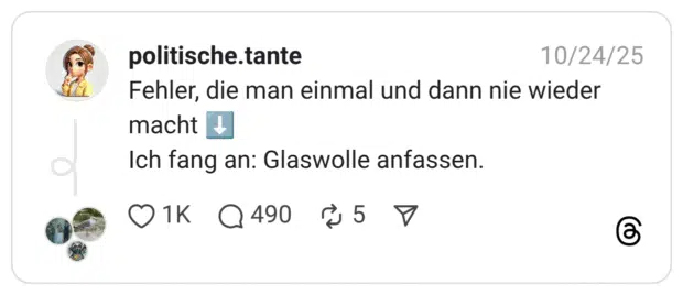 Fehler, die man einmal und dann nie wieder macht Ich fang an: Glaswolle anfassen.