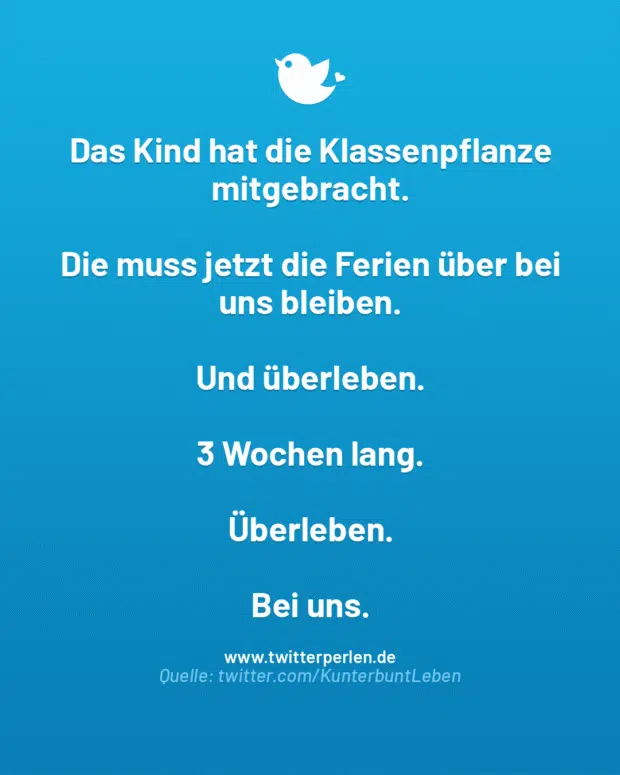 Das Kind hat die Klassenpflanze mitgebracht.
Die muss jetzt die Ferien über bei uns bleiben.
Und überleben.
3 Wochen lang.
Überleben.
Bei uns.