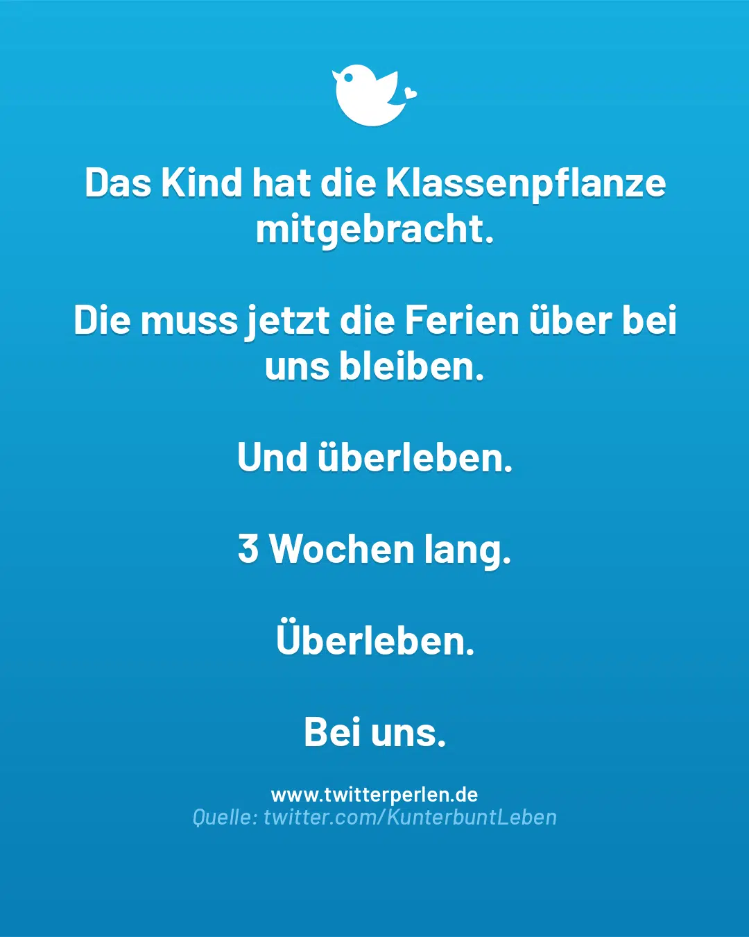 Das Kind hat die Klassenpflanze mitgebracht.
Die muss jetzt die Ferien über bei uns bleiben.
Und überleben.
3 Wochen lang.
Überleben.
Bei uns.