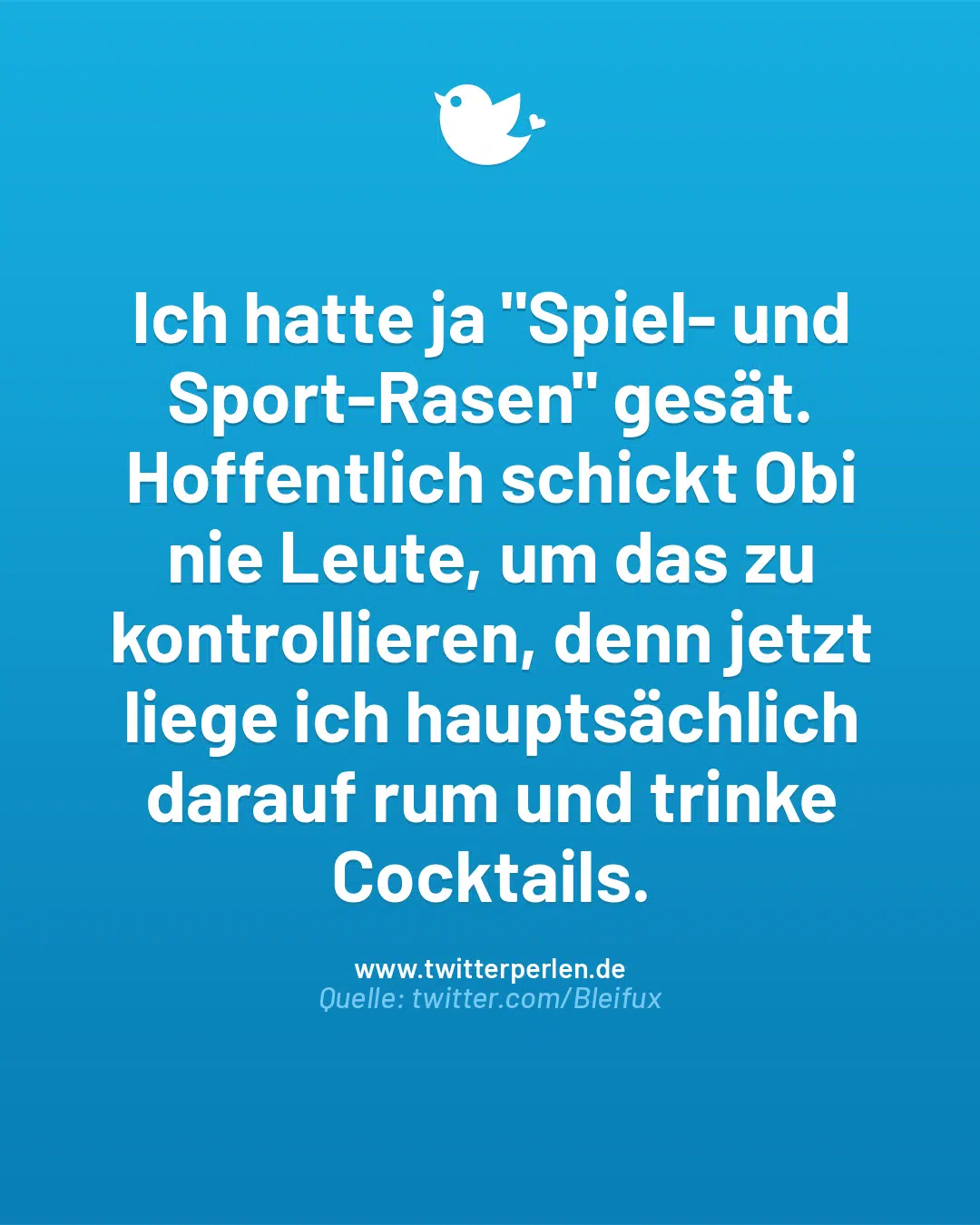 Ich hatte ja „Spiel- und Sport-Rasen“ gesät. Hoffentlich schickt Obi nie Leute, um das zu kontrollieren, denn jetzt liege ich hauptsächlich darauf rum und trinke Cocktails.