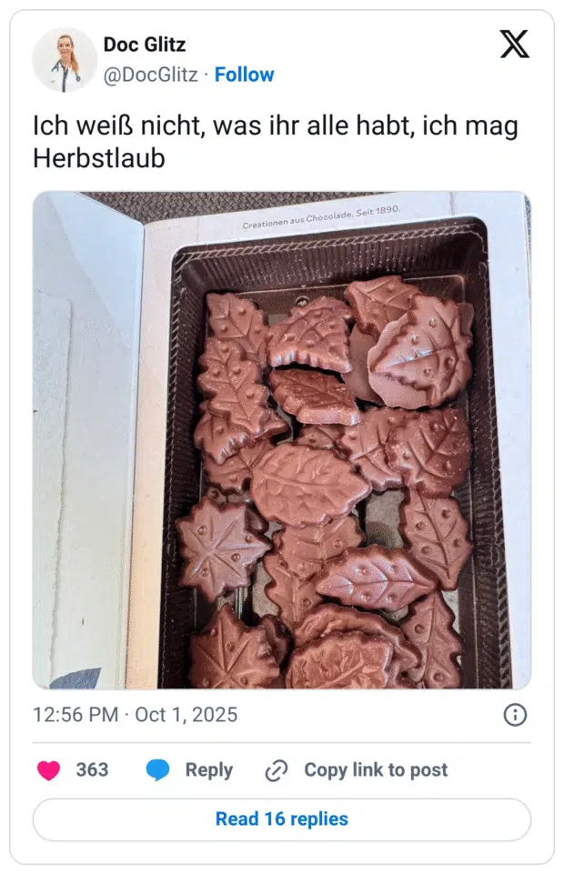 Ich weiß nicht, was ihr alle habt, ich mag Herbstlaub