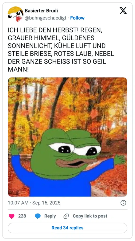 ICH LIEBE DEN HERBST! REGEN, GRAUER HIMMEL, GÜLDENES SONNENLICHT, KÜHLE LUFT UND STEILE BRIESE, ROTES LAUB, NEBEL DER GANZE SCHEISS IST SO GEIL MANN!
