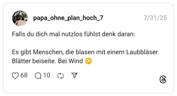 Falls du dich mal nutzlos fühlst denk daran: Es gibt Menschen, die blasen mit einem Laubbläser Blätter beiseite. Bei Wind 😳