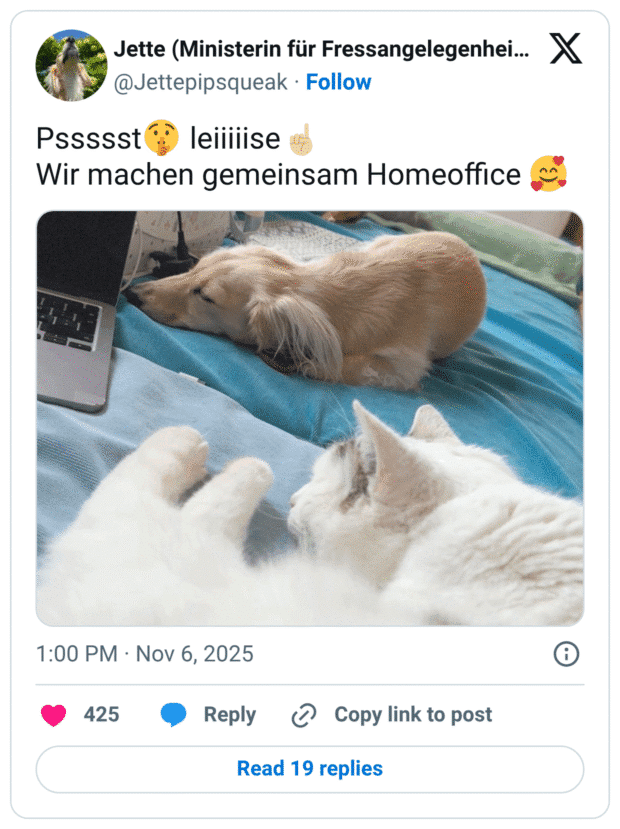 Pssssst🤫 leiiiiise☝🏼 Wir machen gemeinsam Homeoffice 🥰