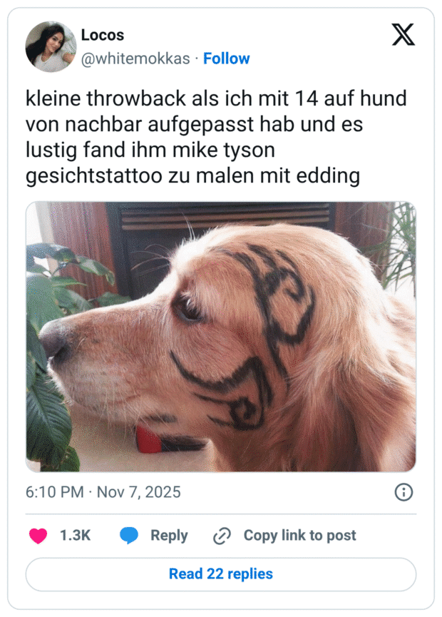 kleine throwback als ich mit 14 auf hund von nachbar aufgepasst hab und es lustig fand ihm mike tyson gesichtstattoo zu malen mit edding