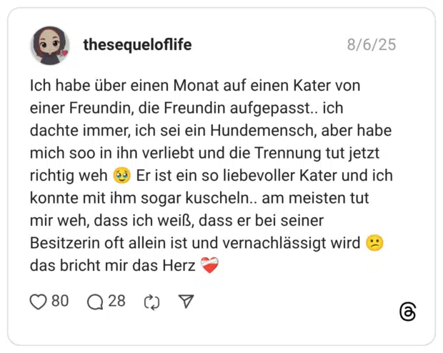 Ich habe über einen Monat auf einen Kater von einer Freundin, die Freundin aufgepasst.. ich dachte immer, ich sei ein Hundemensch, aber habe mich soo in ihn verliebt und die Trennung tut jetzt richtig weh :gesicht_mit_zurückgehaltenen_tränen: Er ist ein so liebevoller Kater und ich konnte mit ihm sogar kuscheln.. am meisten tut mir weh, dass ich weiß, dass er bei seiner Besitzerin oft allein ist und vernachlässigt wird :verwirrt: das bricht mir das Herz :verheilendes_herz: