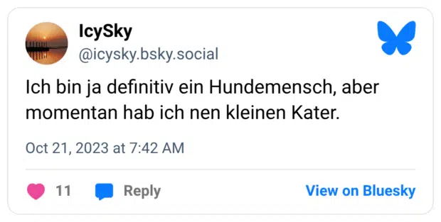 Ich bin ja definitiv ein Hundemensch, aber momentan hab ich nen kleinen Kater.