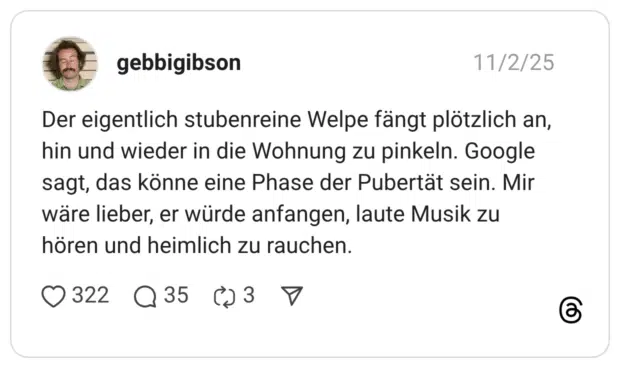 Der eigentlich stubenreine Welpe fängt plötzlich an, hin und wieder in die Wohnung zu pinkeln. Google sagt, das könne eine Phase der Pubertät sein. Mir wäre lieber, er würde anfangen, laute Musik zu hören und heimlich zu rauchen.