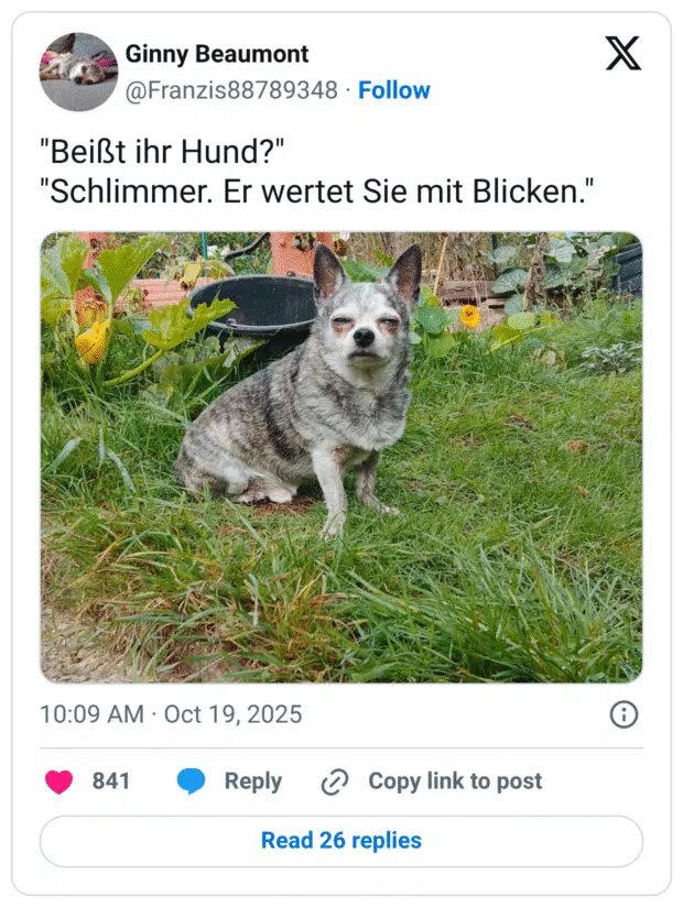 "Beißt ihr Hund?" "Schlimmer. Er wertet Sie mit Blicken."