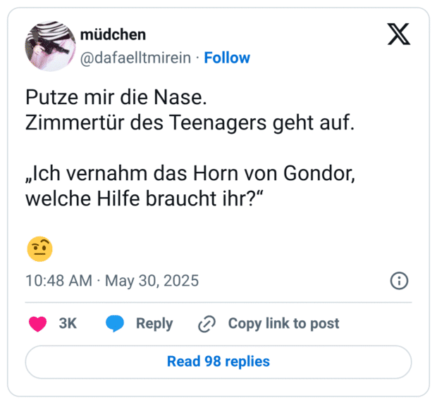 Putze mir die Nase. Zimmertür des Teenagers geht auf. "Ich vernahm das Horn von Gondor, welche Hilfe braucht ihr?"
