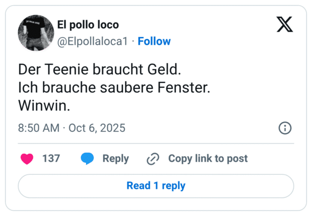 Der Teenie braucht Geld. Ich brauche saubere Fenster. Winwin.
