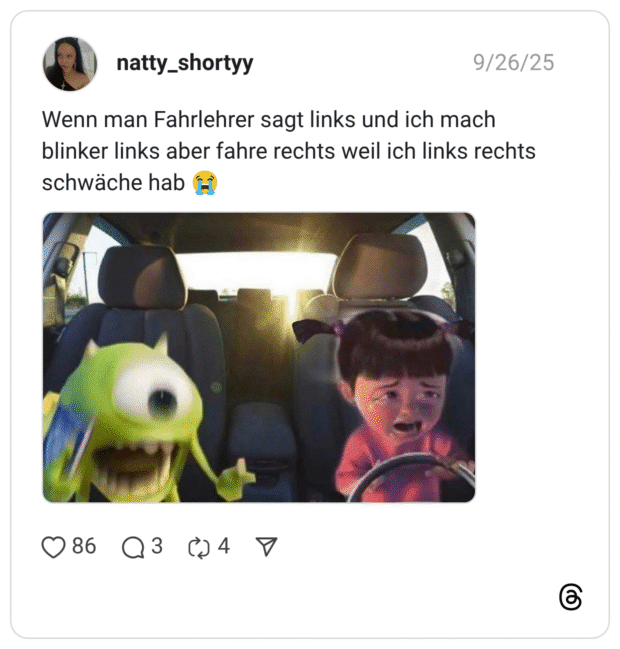Wenn man Fahrlehrer sagt links und ich mach blinker links aber fahre rechts weil ich links rechts schwäche hab 😭