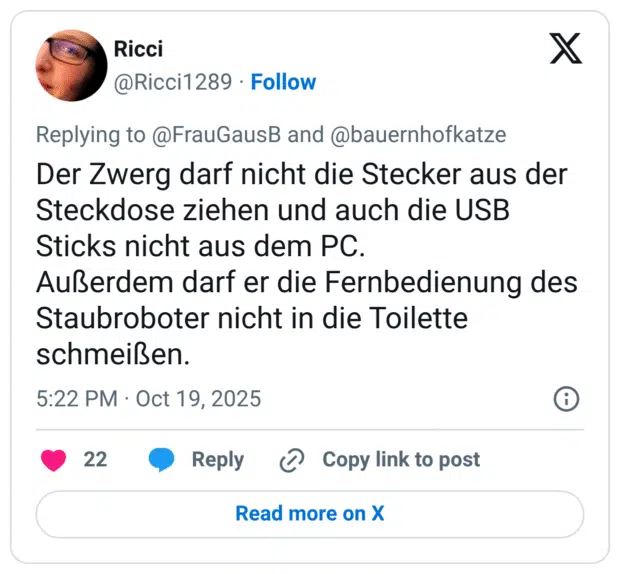 Der Zwerg darf nicht die Stecker aus der Steckdose ziehen und auch die USB Sticks nicht aus dem PC. Außerdem darf er die Fernbedienung des Staubroboter nicht in die Toilette schmeißen