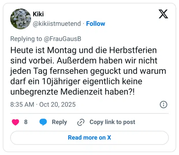 Heute ist Montag und die Herbstferien sind vorbei. Außerdem haben wir nicht jeden Tag fernsehen geguckt und warum darf ein 10jähriger eigentlich keine unbegrenzte Medienzeit haben?!