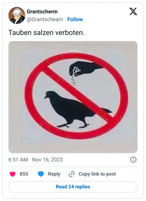 Tauben salzen verboten.
