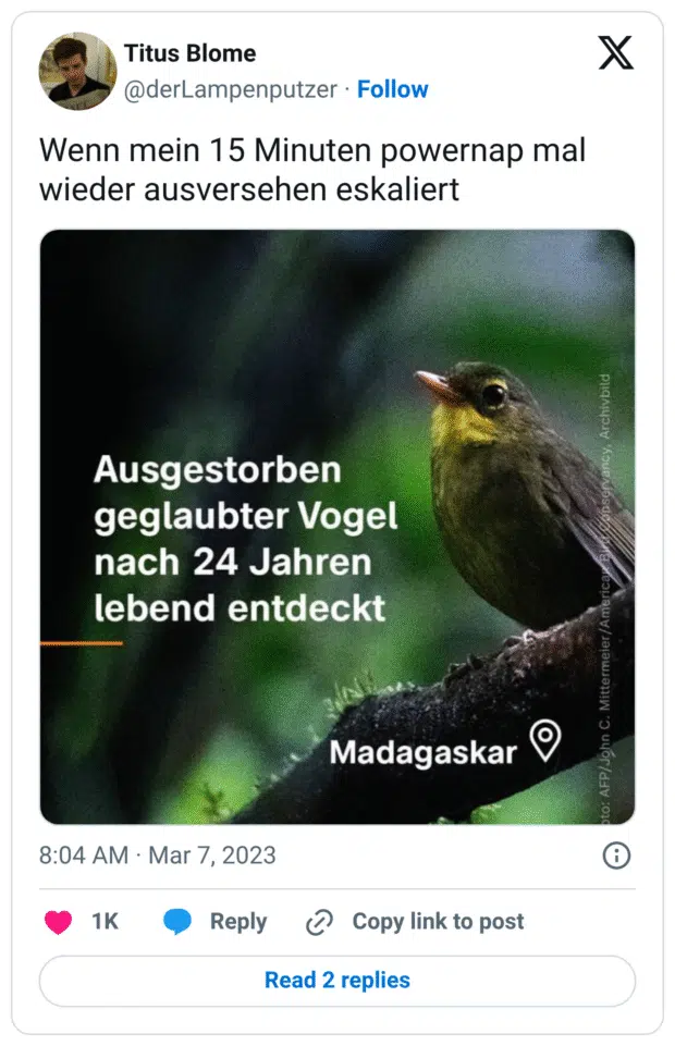 Wenn mein 15 Minuten powernap mal wieder ausversehen eskaliert