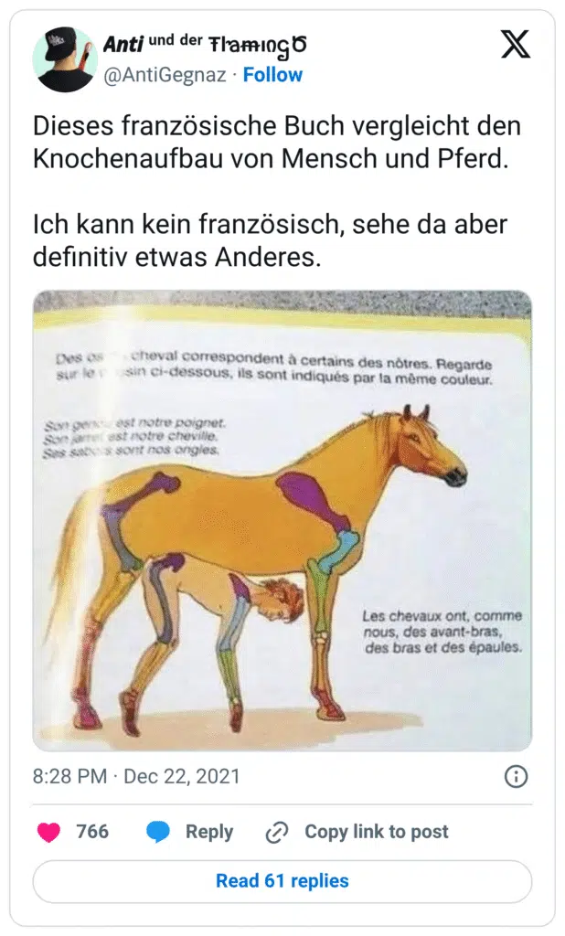 Dieses französische Buch vergleicht den Knochenaufbau von Mensch und Pferd. Ich kann kein französisch, sehe da aber definitiv etwas Anderes.