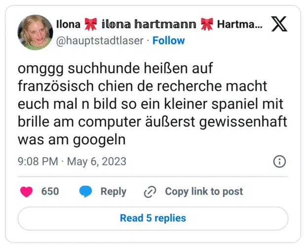 omggg suchhunde heißen auf französisch chien de recherche macht euch mal n bild so ein kleiner spaniel mit brille am computer äußerst gewissenhaft was am googeln