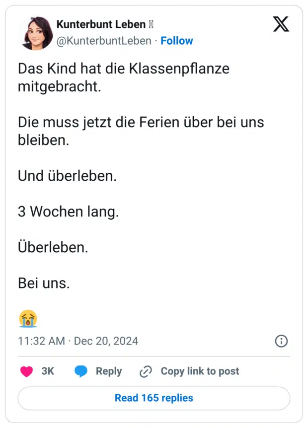 Das Kind hat die Klassenpflanze mitgebracht. Die muss jetzt die Ferien über bei uns bleiben. Und überleben. 3 Wochen lang. Uberleben. Bei uns.