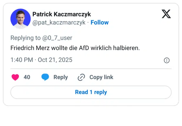Friedrich Merz wollte die AfD wirklich halbieren.