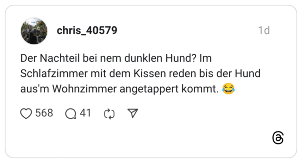 Der Nachteil bei nem dunklen Hund? Im Schlafzimmer mit dem Kissen reden bis der Hund aus'm Wohnzimmer angetappert kommt