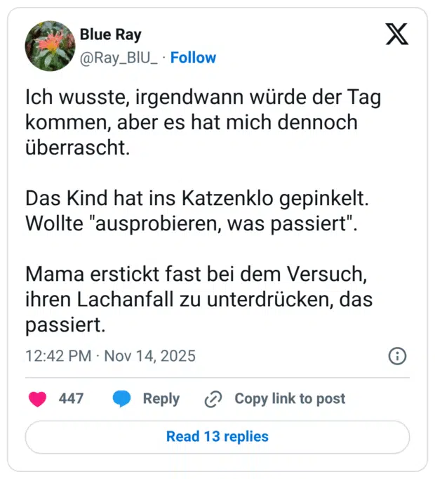 Ich wusste, irgendwann würde der Tag kommen, aber es hat mich dennoch überrascht. Das Kind hat ins Katzenklo gepinkelt. Wollte "ausprobieren, was passiert" Mama erstickt fast bei dem Versuch, ihren Lachanfall zu unterdrücken, das passiert.