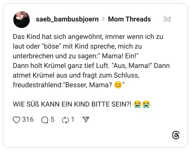 Das Kind hat sich angewöhnt, immer wenn ich zu laut oder "böse" mit Kind spreche, mich zu unterbrechen und zu sagen:" Mama! Ein!" Dann holt Krümel ganz tief Luft. "Aus, Mama!" Dann atmet Krümel aus und fragt zum Schluss, freudestrahlend:"Besser, Mama? WIE SÜß KANN EIN KIND BITTE SEIN?! (E