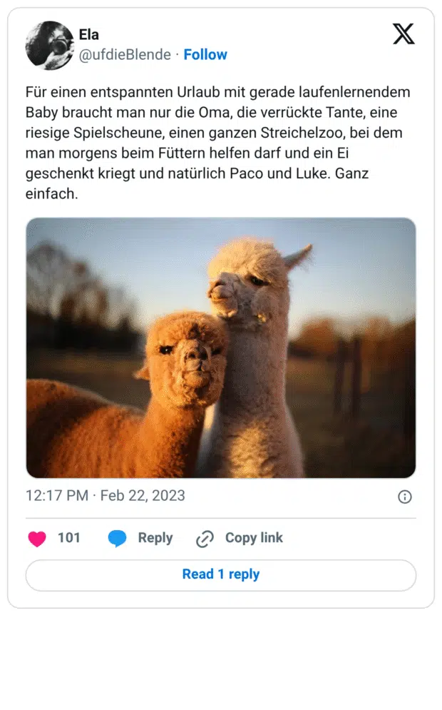 Für einen entspannten Urlaub mit gerade laufenlernendem Baby braucht man nur die Oma, die verrückte Tante, eine riesige Spielscheune, einen ganzen Streichelzoo, bei dem man morgens beim Füttern helfen darf und ein Ei geschenkt kriegt und natürlich Paco und Luke. Ganz einfach.