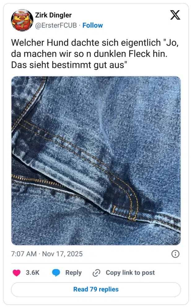 Welcher Hund dachte sich eigentlich "Jo, da machen wir so n dunklen Fleck hin. Das sieht bestimmt gut aus"