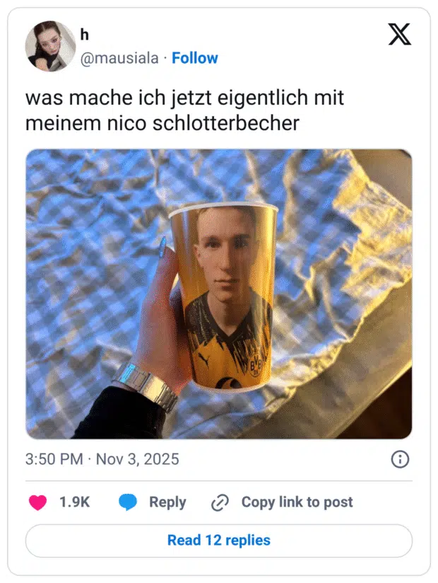 was mache ich jetzt eigentlich mit meinem nico schlotterbecher