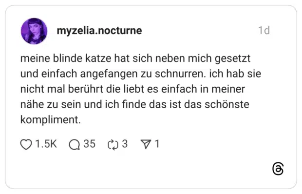 meine blinde katze hat sich neben mich gesetzt und einfach angefangen zu schnurren. ich hab sie nicht mal berührt die liebt es einfach in meiner nähe zu sein und ich finde das ist das schönste kompliment.