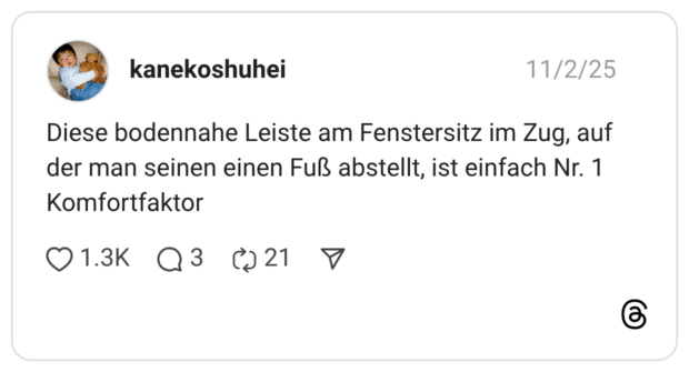 Diese bodennahe Leiste am Fenstersitz im Zug, auf der man seinen einen Fuß abstellt, ist einfach Nr. 1 Komfortfaktor