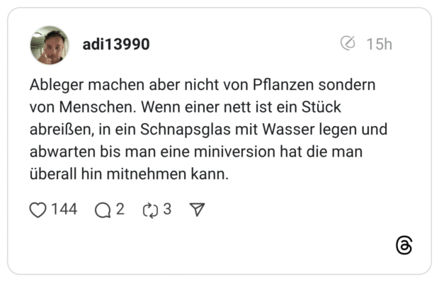 Ableger machen aber nicht von Pflanzen sondern von Menschen. Wenn einer nett ist ein Stück abreißen, in ein Schnapsglas mit Wasser legen und abwarten bis man eine miniversion hat die man überall hin mitnehmen kann.