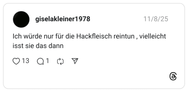 Ich würde nur für die Hackfleisch reintun , vielleicht isst sie das dann 13