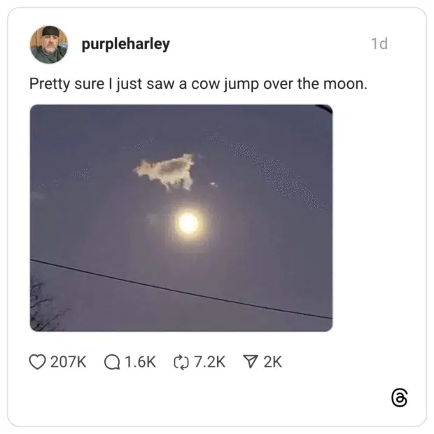 Pretty sure I just saw a cow jump over the moon.