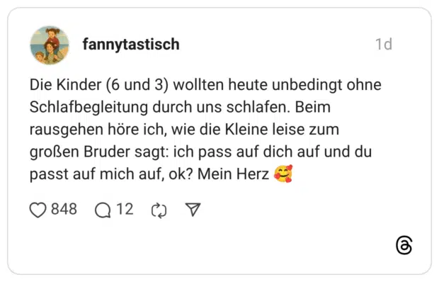 Die Kinder (6 und 3) wollten heute unbedingt ohne Schlafbegleitung durch uns schlafen. Beim rausgehen höre ich, wie die Kleine leise zum großen Bruder sagt: ich pass auf dich auf und du passt auf mich auf, ok? Mein Herz