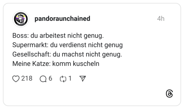 Boss: du arbeitest nicht genug. Supermarkt: du verdienst nicht genug Gesellschaft: du machst nicht genug. Meine Katze: komm kuscheln