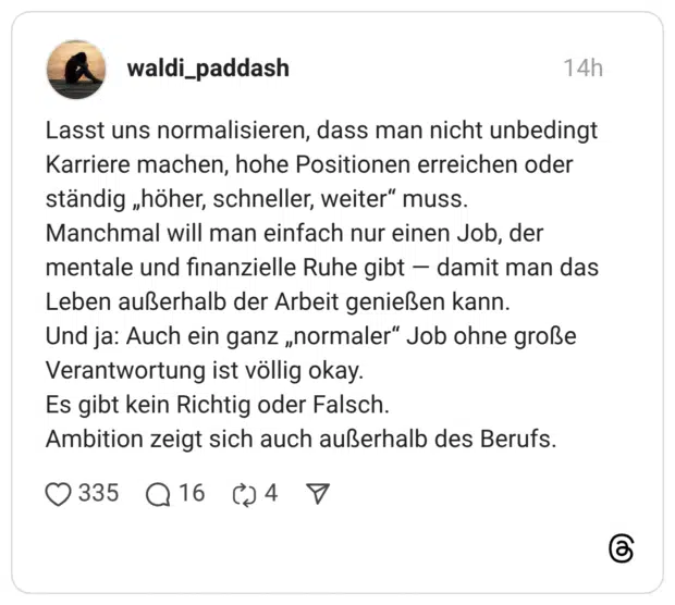 Lasst uns normalisieren, dass man nicht unbedingt Karriere machen, hohe Positionen erreichen oder ständig „höher, schneller, weiter“ muss. Manchmal will man einfach nur einen Job, der mentale und finanzielle Ruhe gibt — damit man das Leben außerhalb der Arbeit genießen kann. Und ja: Auch ein ganz „normaler“ Job ohne große Verantwortung ist völlig okay. Es gibt kein Richtig oder Falsch. Ambition zeigt sich auch außerhalb des Berufs.