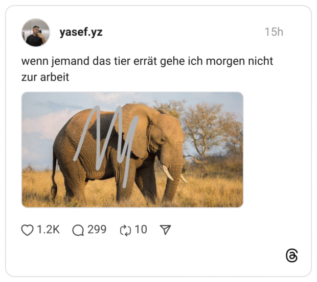 wenn jemand das tier errät gehe ich morgen nicht zur arbeit