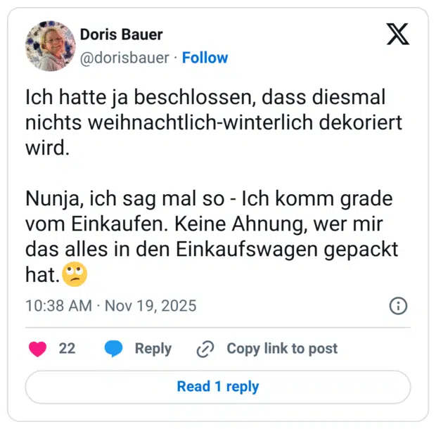 Ich hatte ja beschlossen, dass diesmal nichts weihnachtlich-winterlich dekoriert wird. Nunja, ich sag mal so - Ich komm grade vom Einkaufen. Keine Ahnung, wer mir das alles in den Einkaufswagen gepackt hat.🙄