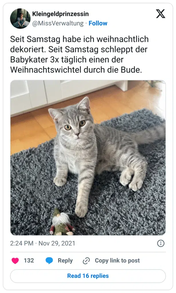 Seit Samstag habe ich weihnachtlich dekoriert. Seit Samstag schleppt der Babykater 3x täglich einen der Weihnachtswichtel durch die Bude.