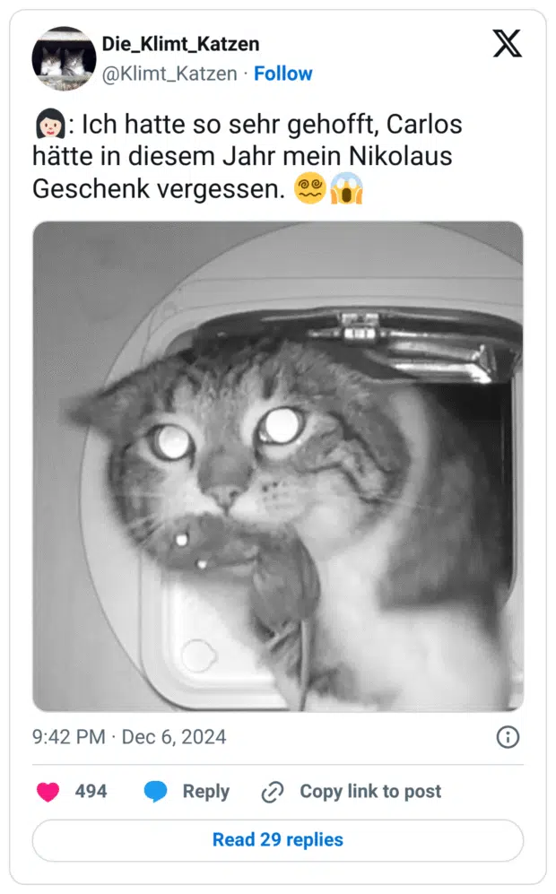 👩🏻: Ich hatte so sehr gehofft, Carlos hätte in diesem Jahr mein Nikolaus Geschenk vergessen. 😵💫😱