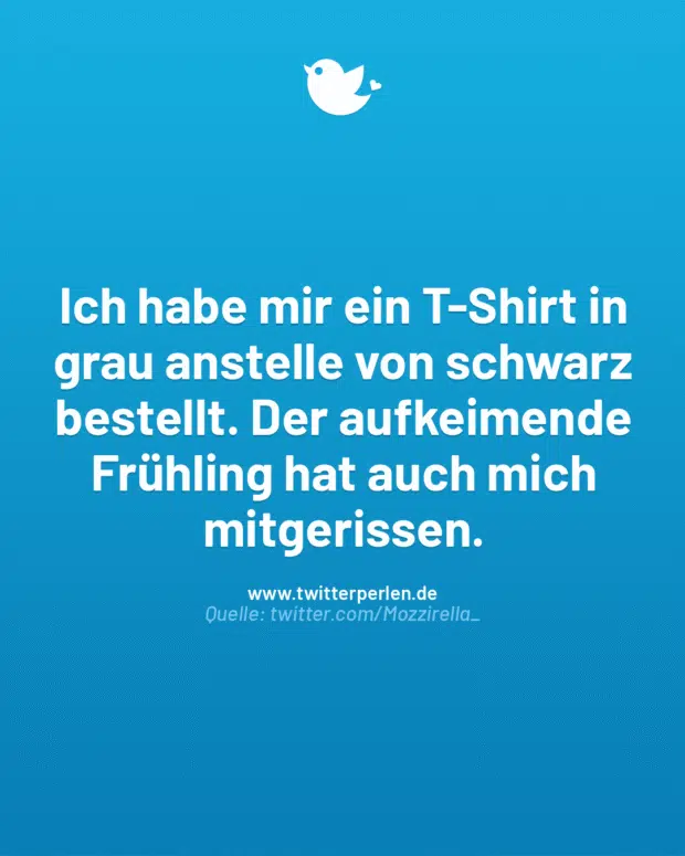Ich habe mir ein T-Shirt in grau anstelle von schwarz bestellt. Der aufkeimende Frühling hat auch mich mitgerissen.