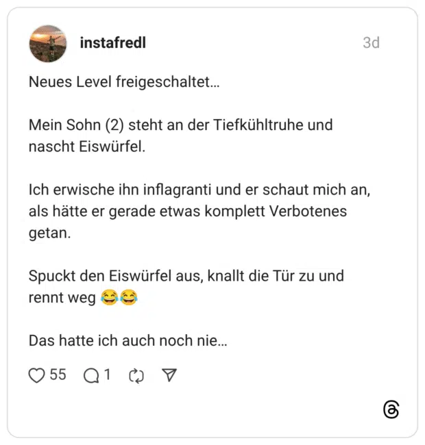 Neues Level freigeschaltet... Mein Sohn (2) steht an der Tiefkühltruhe und nascht Eiswürfel. Ich erwische ihn inflagranti und er schaut mich an, als hätte er gerade etwas komplett Verbotenes getan. Spuckt den Eiswürfel aus, knallt die Tür zu und rennt weg de Das hatte ich auch noch nie...