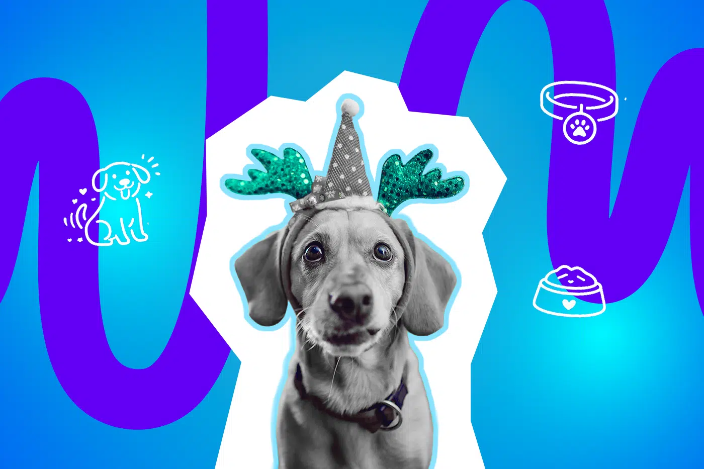 Ein Hund blickt frontal in die Kamera und trägt ein festliches Rentier-Hütchen mit glitzerndem Geweih.